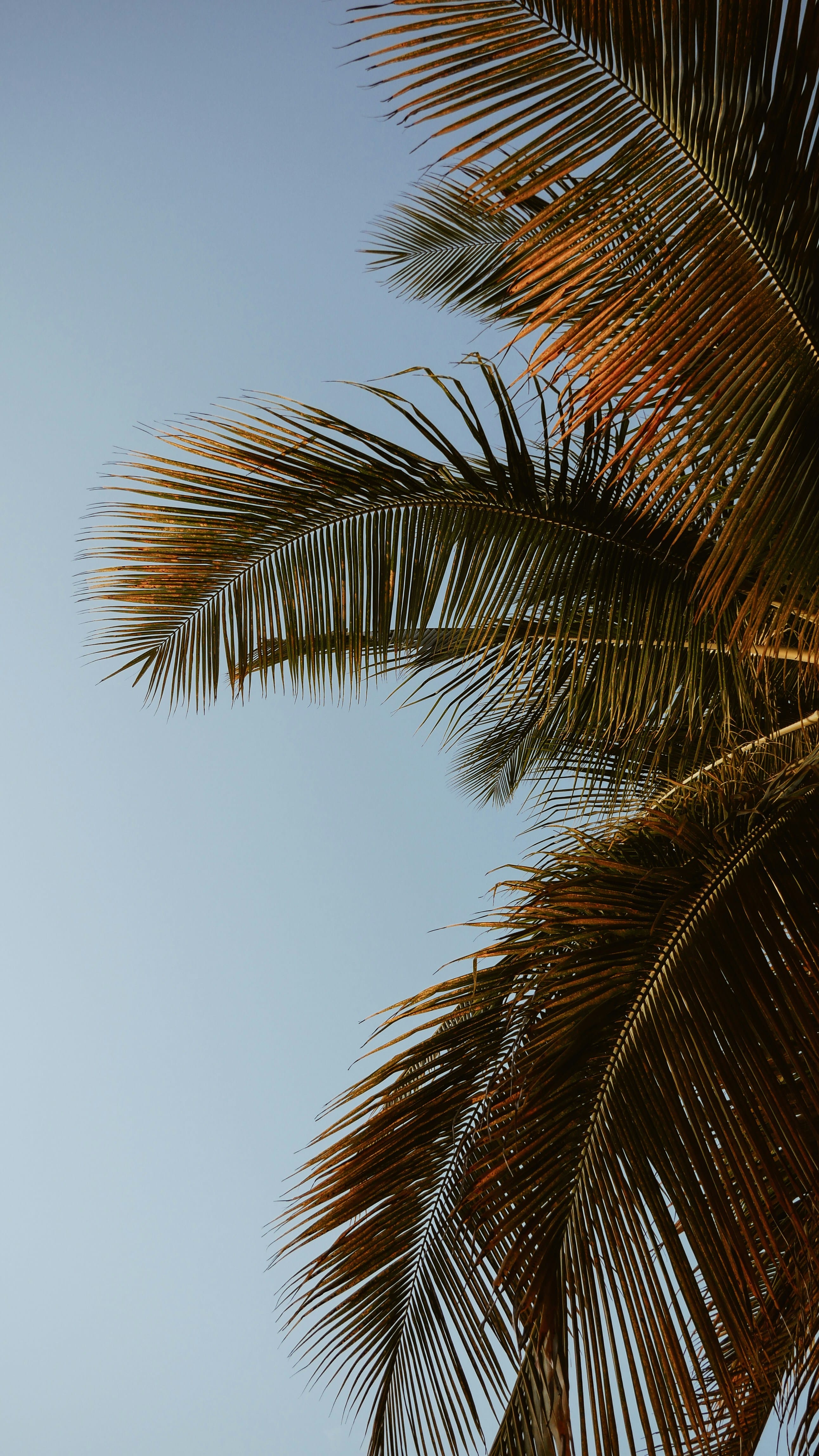 Background 3